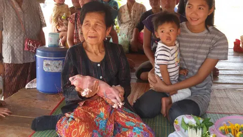 แห่ดูลูกหมูประหลาด ! 3ตา มีงวงคล้ายช้าง จุดธูปขอหวย    