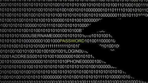 เจอดี! แฮกเกอร์ป่วนเมล์ภาครัฐ 2 วัน คนหลงคลิกแล้วนับพันครั้ง! (ชมคลิป)