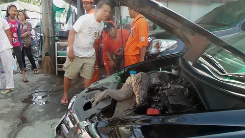 สาวออฟฟิศกรี๊ด! ตัวเงินตัวทองมุดกระโปรงหน้า ติดคาห้องเครื่อง