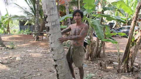 พบ 'มนุษย์วานร' ไวปานวอก! รับจ้างปีนต้นมะพร้าวเลี้ยงแม่ (ชมคลิป)