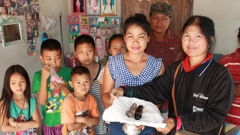 ตีเลขเด็ด! ลูกแมวตาเดียว โบราณเชื่อนำโชค