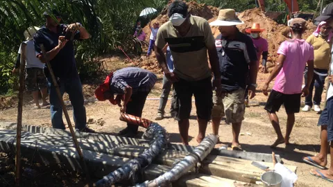 มีเฮ! งาช้าง 'พลายสัง' ให้โชคชาวกระบี่ถูกหวยถ้วนหน้า