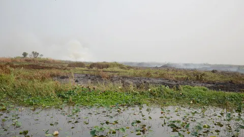ไฟไหม้วัชพืชกลางบึงสีไฟ ควันฟุ้งกระจายกระทบหลายพื้นที่