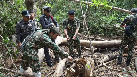 พรานป่าสุดโหด ฆ่าช้างป่า 2 ตัว ตัดงา อวัยวะเพศ ส่งขายนายทุน