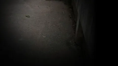 หนุ่มฮอนด้ารักคุด ดิ่งตึกดับสยอง