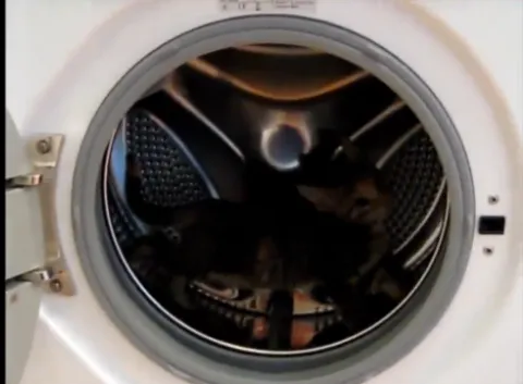 เจ้าเหมียวในเครื่องซักผ้า(ชมคลิป)