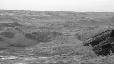 พบศพชายนิรนาม ขึ้นอืดกลางทะเล เกาะล้าน จ.ชลบุรี