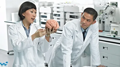 เจาะเทรนด์ฮิต.. 'ฟังก์ชันแนล ฟู้ด' ไทยติดอันดับโลก..