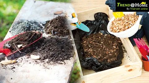 รู้ยัง? เลือกดินดีมีชัยไปกว่าครึ่ง!