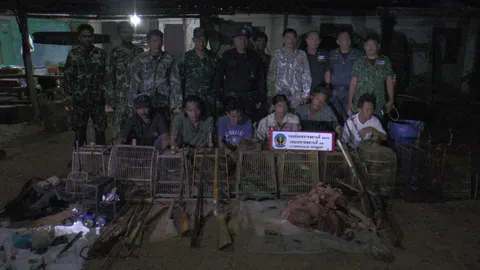 จับแก๊งพรานโหด! ทุบหัว‘วัวแดง‘ ล่าขายร้านอาหารป่า   