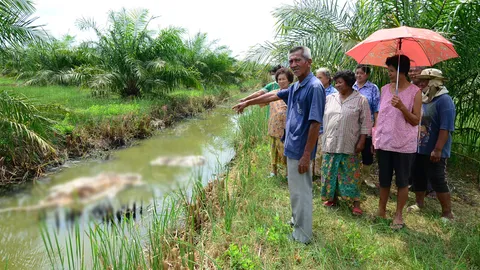 ผวาแก๊งโจรโหด ลักวัวฆ่าทารุณตัดขา 4 ข้าง ชาวบ้านรุมสาปแช่ง