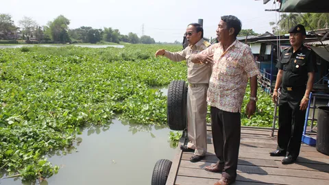 ชาวบ้านเดือดร้อน! โวยผักตบชวา เต็มลำน้ำท่าจีน 