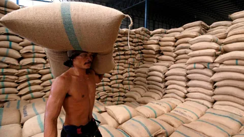 แนะรัฐชะลอประมูลข้าวรอบที่ 3