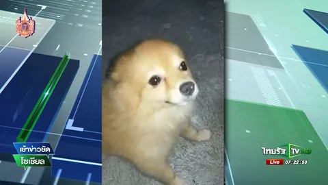 เมื่อ น้องหมา "ร้องไห้หนักมาก" (ชมคลิป)