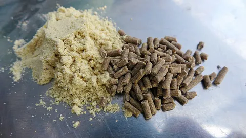 อาหารหมูแรกเกิด แก้ปัญหาแม่‘เต้า’น้อย