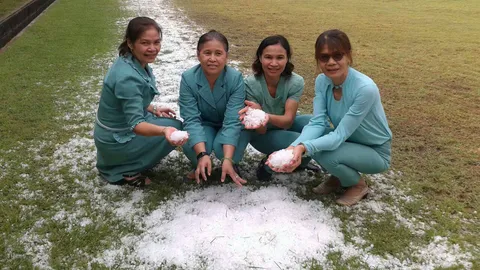 พายุกระหน่ำ ลูกเห็บตกที่โคราช กองขาวโพลนบนพื้น 