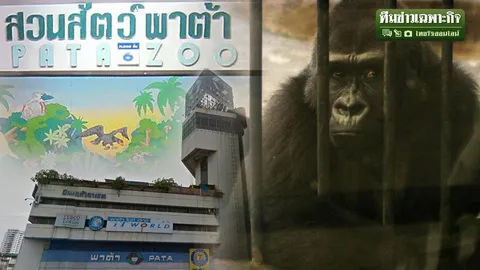 ส่องสวนสัตว์เมืองกรุง ตอน 1 เปิดกรงดาดฟ้าพาต้า ชีวิตหมอง-คนมองเศร้า!?