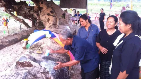 ชาวมหาสารคาม แห่ขอเลขเด็ด ต้นตะเคียนยักษ์ อายุกว่า 200 ปี