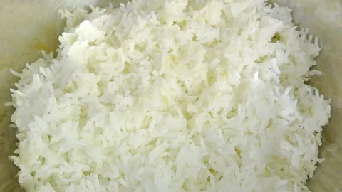 ข้าวทำให้คนอ้วน แป้งทนย่อยสลาย