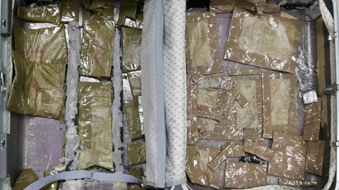 รวบไกด์หนุ่มเนปาล คาสนามบิน ลอบขนยางกัญชามาขายในไทย