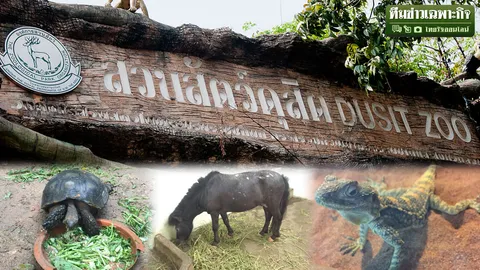 ส่องสวนสัตว์เมืองกรุง ตอน2 7ทศวรรษป่าปูนล้อม 'เขาดิน' แปลกแยกหรือกลมกลืน 
