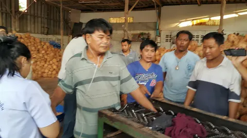 เสี่ยอ่างทองมือเกือบเละ หลังพลาดนำมะพร้าวเข้าเครื่องแล้วโดนดูด