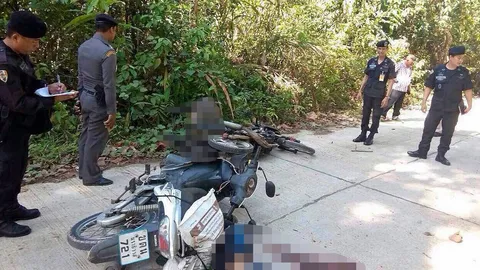 โจรใต้ป่วน! ดักยิงคนหาของป่าดับ 2 ศพขณะกลับบ้าน