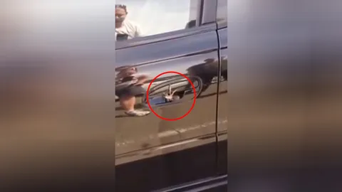 แทบกรี๊ด! ‘แมงมุม’ ตัวเบ้อเริ่ม อยู่ในที่จับประตูรถ (ชมคลิป)
