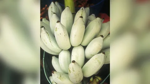 “กล้วยน้ำว้ามะลิอ่อง” กับที่มาชื่อหวานชื่นใจ