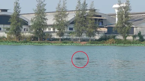 จมหาย 2 วัน พบแล้วศพหนุ่ม เจ็ตสกีคว่ำบึงกระจับ 