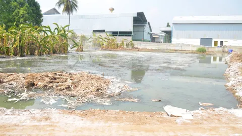 สุดเหม็น! ชาวบ้านโวย รง.ข้าวโพด ไม่ยอมบำบัดน้ำเสีย 