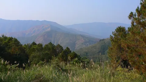 'เฉลิมเกียรติ' ลุยตรวจป่าดอยภูคาเห็นสภาพสั่งเร่งแก้ไข
