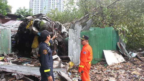 ฝนกระหน่ำกรุง! ต้นโพธิ์หักทับบ้าน-ศาลพระภูมิชุมชนพระราม 9  