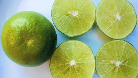 'มะนาวแป้นสุกัญญา' ดกไม่ขาดต้นเปรี้ยวหอม