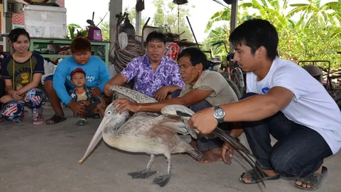 พบนกต่างถิ่นหวั่นแพร่เชื้อโรค วอนเจ้าหน้าที่รุดตรวจสอบ