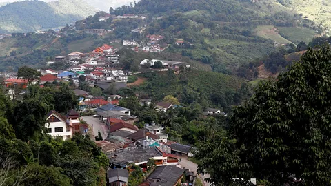 แม่สลอง สายสัมพันธ์แห่งขุนเขา