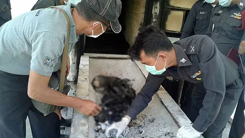 พบศพนิรนามถูกเผาคาเมรุ คาดโดนฆาตกรรม