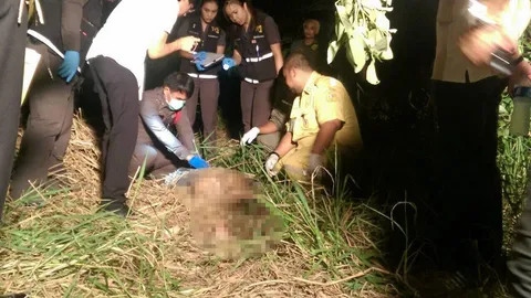 ฆ่าเปลือยสาว เถาวัลย์รัดคอ หมกป่าฉลองกรุง