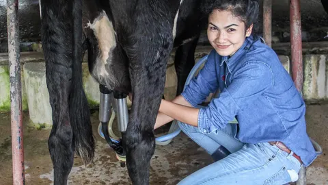 โคนม..อนาคตมีแต่รุ่ง ต่างชาติย้ายฐานเข้าไทย