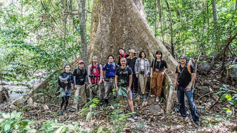 ล่องยะลา ผ่านภาพผืนป่าฮาลาบาลา