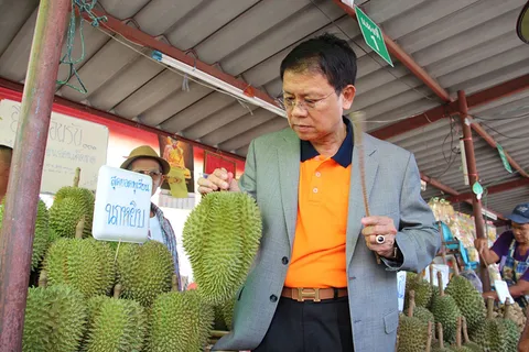 เมืองจันท์เอาจริงลุยฟันโทษคนขายทุเรียนอ่อนตามแผงริมทาง