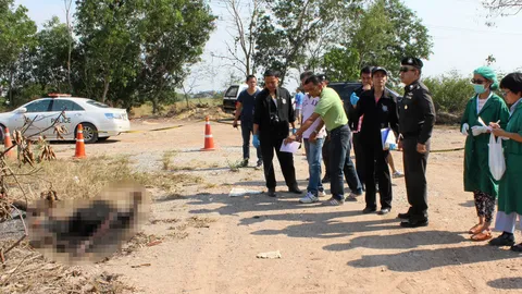 รวบสาว28 เผาเปลือย กิ๊ก‘เฒ่า61’ เชิดรถเก๋ง หนีซบแฟน