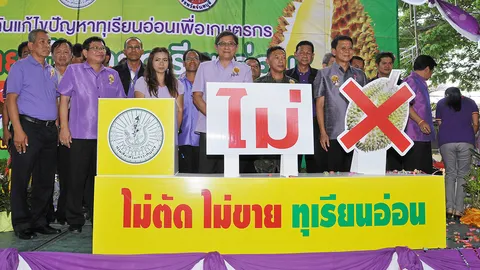 ดู-ดีด-ดม-ดูด คาถาไล่ทุเรียนอ่อน