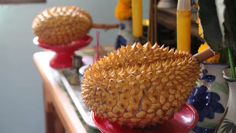 บูชา ‘ทุเรียนสีทอง’ ออก 3 ปีซ้อน เจ้าของสุดเฮง ขายรวยเป็นล้าน