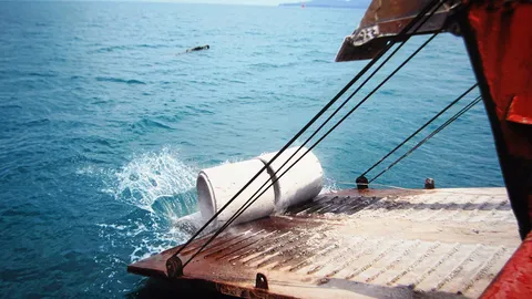 แท่งปูนปะการังเทียม รั้วปกป้องประมงพะงัน