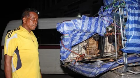 ครูซีแปดเลี้ยงหมาบนรถเดือด! แจ้งความกลุ่มคนรักสุนัขแชร์ประจานโซเชียล!