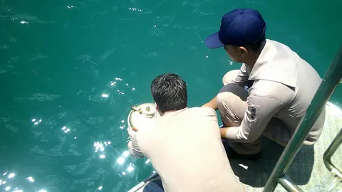 ลอยอังคาร ''หมออีฟ'' ผู้ช่วยแพทย์ฝันสร้างตำนานหญิงไทย