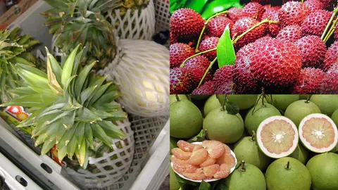 รบ.ปลื้มคนตอบรับ สั่งขยายวัน-เวลา ตลาดผักผลไม้ข้างทำเนียบฯ