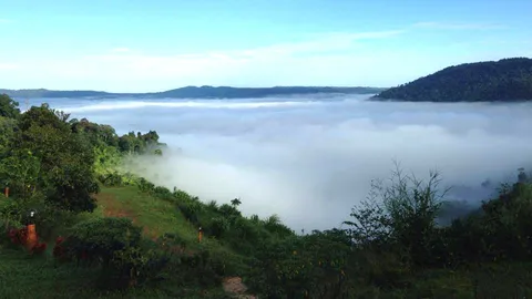 ตกไปสิ ไม่กลัว! กางคู่มือส่อง 10 ข้อเที่ยวหน้าฝน สนุก ปลอดภัย ไร้กังวล