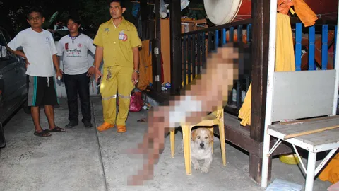 สะเทือนใจ! 'ไอ้ใหญ่ หมาวัด' นอนเฝ้าศพเจ้าของ นั่งตายคาเก้าอี้